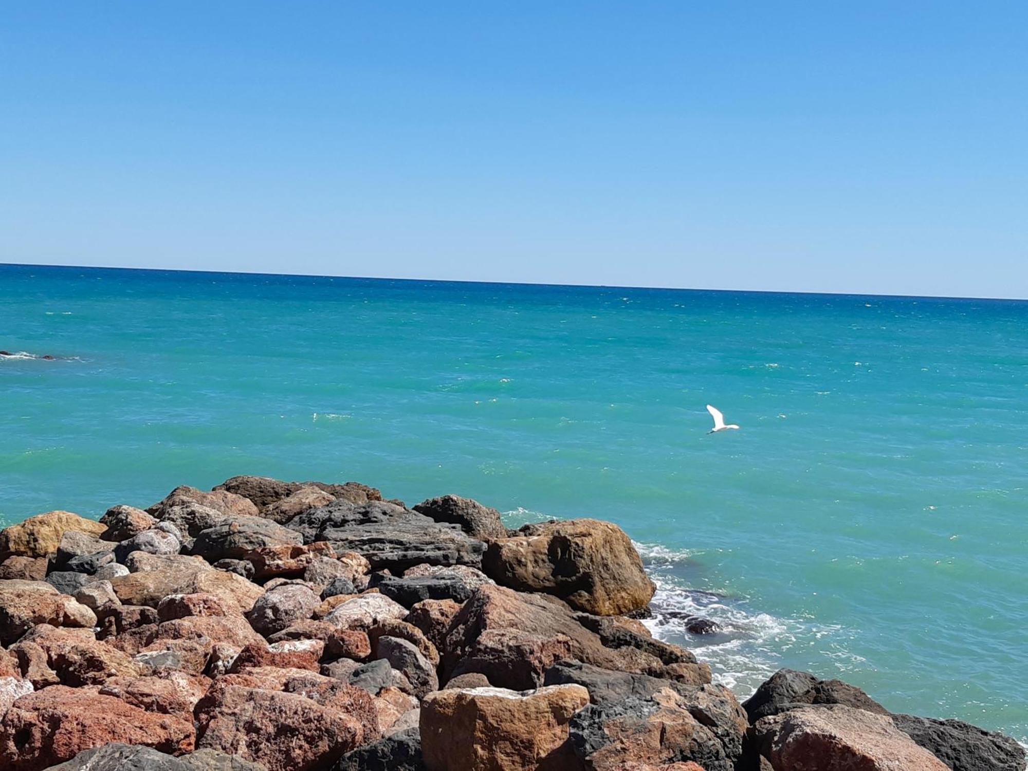 Paradise Moncofa Con Aire Acondicionado Y Wifi Gratis Διαμέρισμα Εξωτερικό φωτογραφία